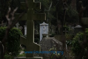 'English cemetery in Rome' (Canon EOS 5D + Canon 24-105 mm zoom - January 2014)