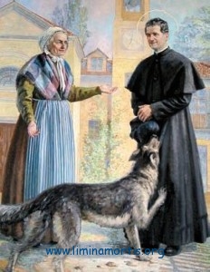 Don Bosco and the Gray (dog)